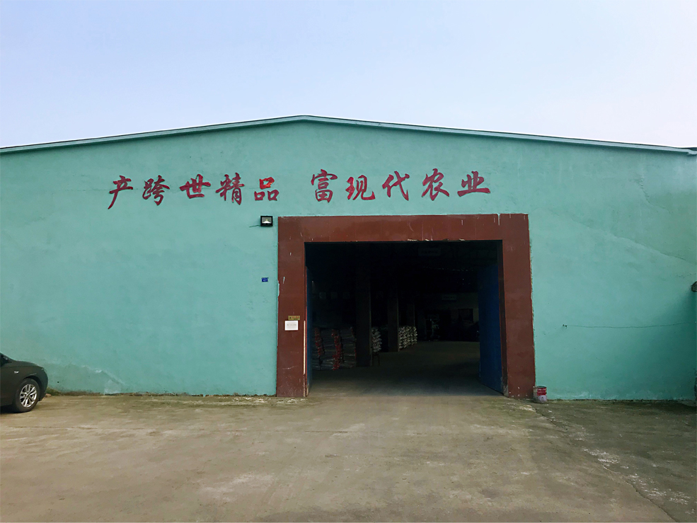 廠(chǎng)區